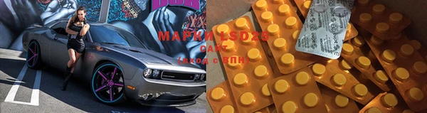 гашик Дмитровск
