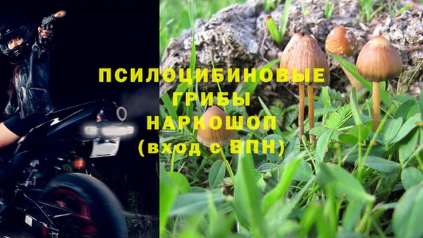 гашик Дмитровск