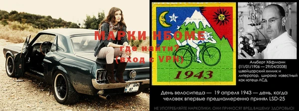 гашик Дмитровск