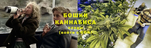 гашик Дмитровск