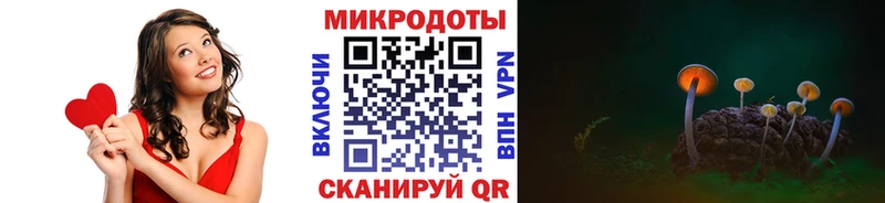 Псилоцибиновые грибы Psilocybe  Купить где  Зарайск 